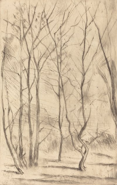 Der Dam-Wald von James Abbott McNeill Whistler