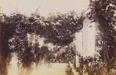 Garten - Capri von James Anderson