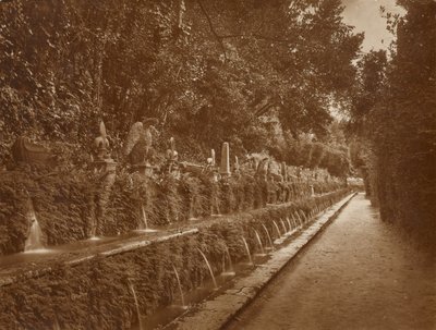 Villa d
