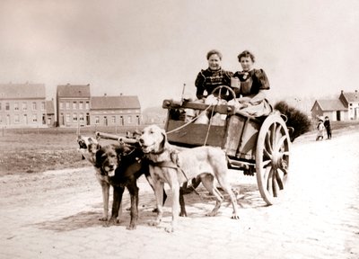 Hunde ziehen Frauen auf einem Wagen, Antwerpen, 1898 von James Batkin