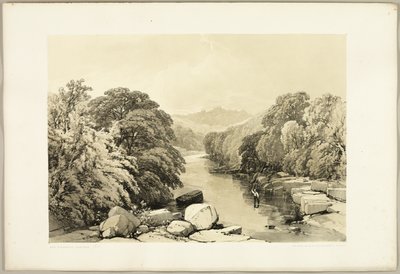 Esche, Ahorn und Eiche, aus Der Park und der Wald von James Duffield Harding