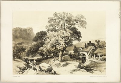 Esche und Eiche, aus The Park and the Forest von James Duffield Harding