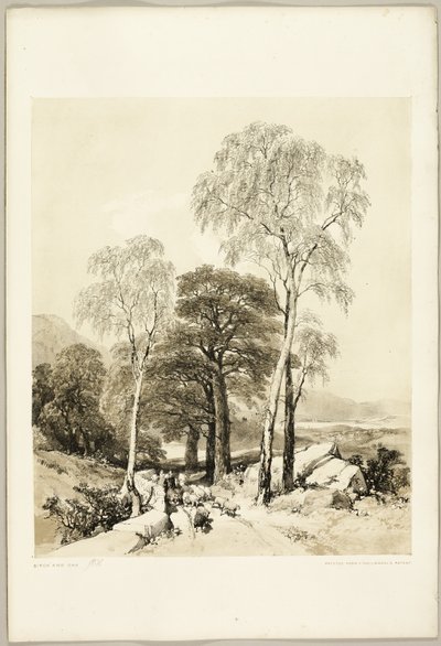 Birke und Eiche, aus Der Park und der Wald von James Duffield Harding
