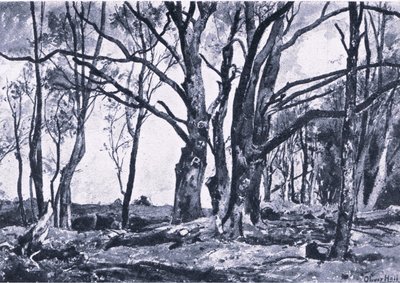 Kopfweiden in den Wiesen von Windsor, Nature in Britain, veröffentlicht von Collins von James Duffield Harding