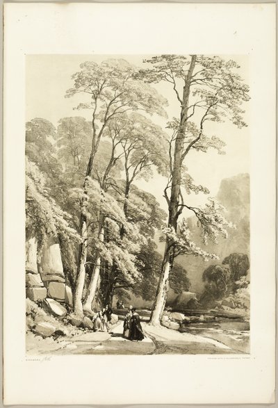 Platane, aus Der Park und der Wald von James Duffield Harding