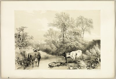 Dorn, Weide, Buche und Birke, aus Der Park und der Wald von James Duffield Harding
