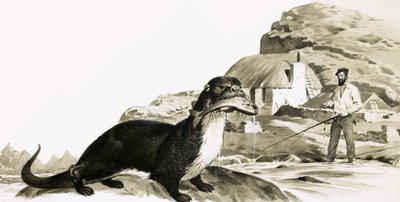 Otter mit Fisch und Mann beim Angeln von James Edwin McConnell