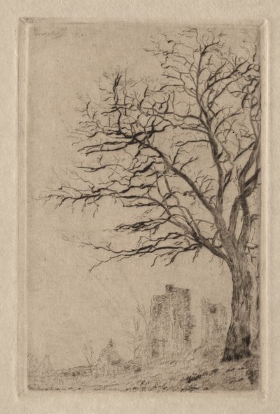 Akazie von James Ensor