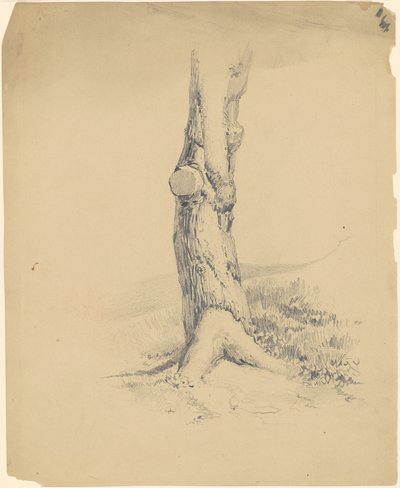 Alter Baumstamm von James Goodwyn Clonney