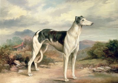 Ein Windhund in einer hügeligen Landschaft von James Henry Beard