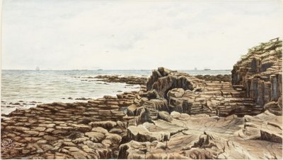 Tynemouth von Sharpness Point von James Henry Cleet
