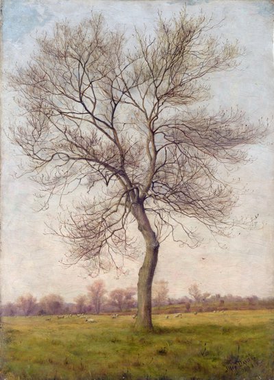 Studie eines Eschenbaums im Winter von James Hey Davies
