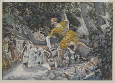 Zachäus im Maulbeerbaum erwartet die Passage Jesu, Illustration aus Das Leben unseres Herrn Jesus Christus, 1886-96 von James Jacques Joseph Tissot