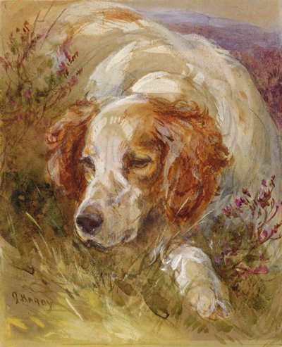 Ein Spaniel von James Jnr Hardy