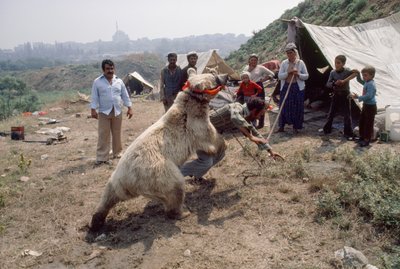 Eine Zigeunerbärennummer probt für ein Karneval mit Roma. In der Nähe von Istanbul, Türkei. von James L Stanfield