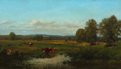 Kühe auf der Weide 1870 von James McDougal Hart