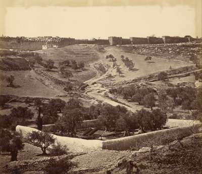 Garten von Gethsemane und Aufstieg zum Stephanstor, über das Tal von Jehosephat von James Robertson