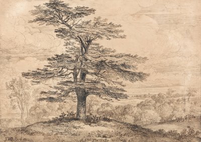 Eine Zeder auf einem Hügel mit einer Herde Hirsche im Schatten von James Ward
