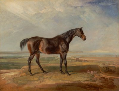 Dr. Syntax, ein Braunes Rennpferd, Stehend in einer Küstenlandschaft, ein Ästuar im Hintergrund von James Ward