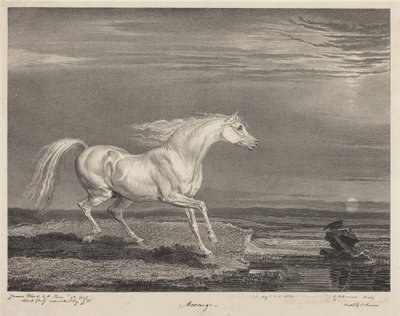  von James Ward