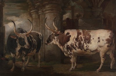 Porträts von zwei außergewöhnlichen Ochsen, Eigentum des Earl of Powis von James Ward