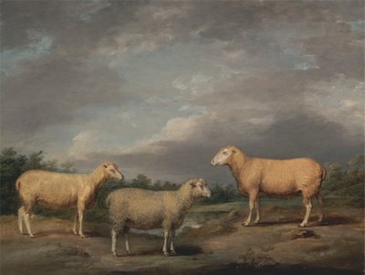 Ryelandschafe, der Widder des Königs, das Mutterschaf des Königs und der Hammel von Lord Somerville von James Ward