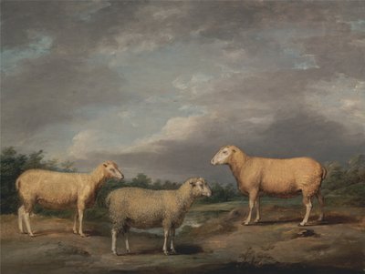 Ryelandschafe, der Königswidder, das Königsschaf und Lord Somervilles Hammel von James Ward