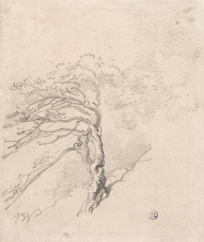 Baum auf einem Hügel von James Ward