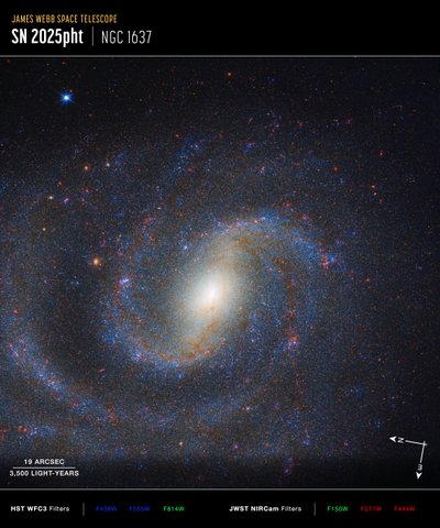 NGC 1637 von James Webb Space Telescope (NASA)