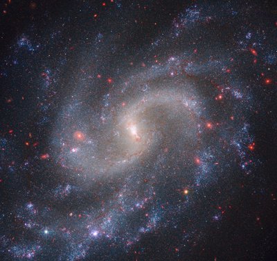 NGC 5584 von James Webb Space Telescope (NASA)