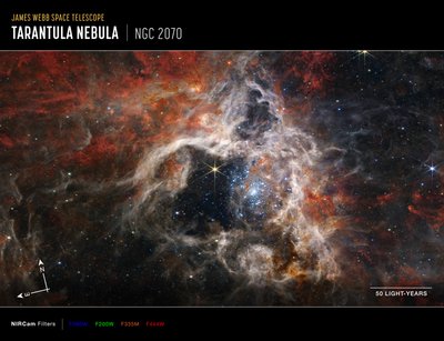 Tarantelnebel von James Webb Space Telescope (NASA)