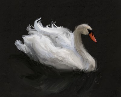 Anmutiger Weißer Schwan von James Zamora