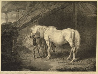 Primel und Fohlen, aus Berühmte Pferde, eine Serie von vierzehn Rennbildern, veröffentlicht vom Künstler, 1823-24 von James after Ward