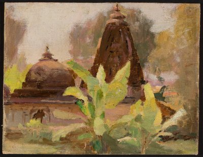 Ahmedabad - Jain-Tempel. Von einer Reise nach Indien von Jan Ciągliński