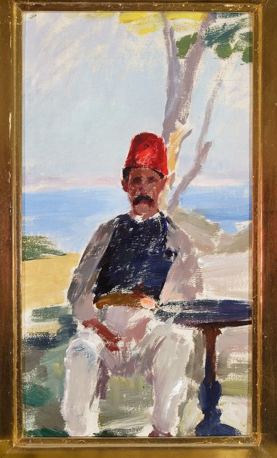 Türke. Von einer Reise nach Konstantinopel von Jan Ciągliński