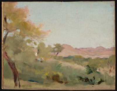 Udaipur - indische Landschaft. Von der Reise nach Indien von Jan Ciągliński
