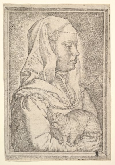 Mädchen mit einer Katze, 1546 von Jan Cornelisz Vermeyen
