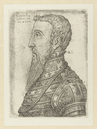 Porträt von Heinrich II von Jan Cornelisz Vermeyen