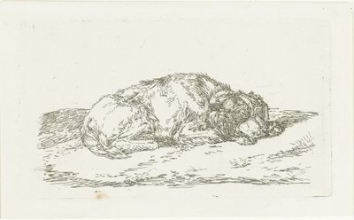 Schlafender Hund mit Kopf auf den Vorderpfoten ruhend von Jan Dasveldt