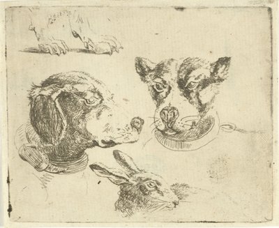 Studienblatt mit zwei Hundeköpfen, Hundepfoten und Hasenkopf von Jan Dasveldt