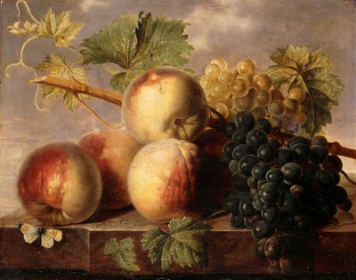 Pfirsiche und Trauben mit einem Kohlweißling auf einer Marmorkante von Jan Frans van Dael