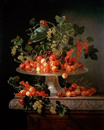 Ein Stillleben mit Kirschen und Johannisbeeren mit einem Papagei von Jan Frans van Son