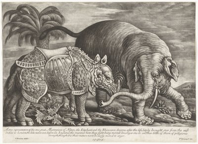 Elefant und Nashorn von Jan Griffier (I)