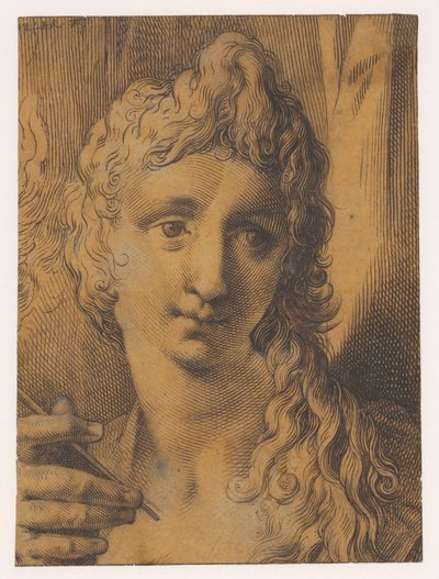 Kopf eines jungen Mannes oder einer jungen Frau, die einen Stichel (?) in der Hand hält von Jan Harmensz. Muller