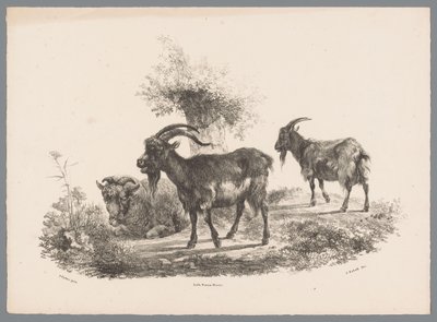 Twee geiten en een schaap bij een boom von Jan Kobell (III)