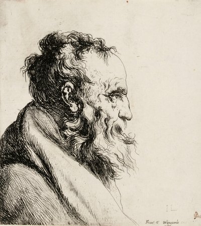 Büste eines alten Mannes, nach rechts blickend von Jan Lievens