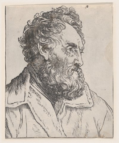 Kopf eines Mannes von Jan Lievens