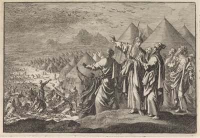 Wachteln in der Wüste von Jan Luyken