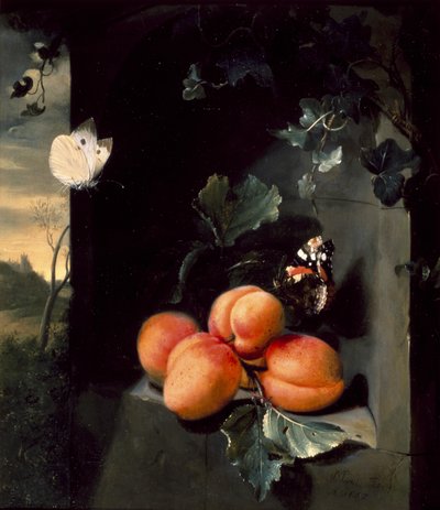 Stillleben mit Aprikosen und Schmetterlingen, 1683 von Jan Mortel