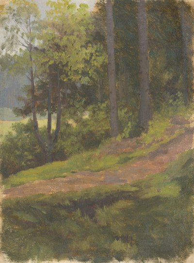 Pfad am Waldrand von Jan Nowopacký